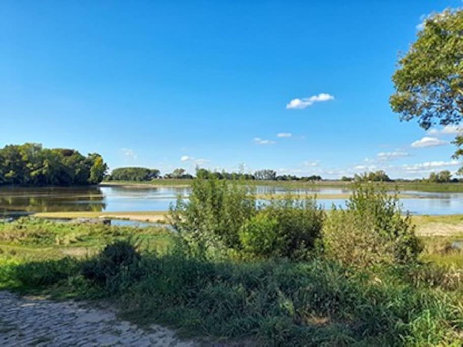 Gite En Bord De Loire Blaison-Saint-Sulpice Ngoại thất bức ảnh