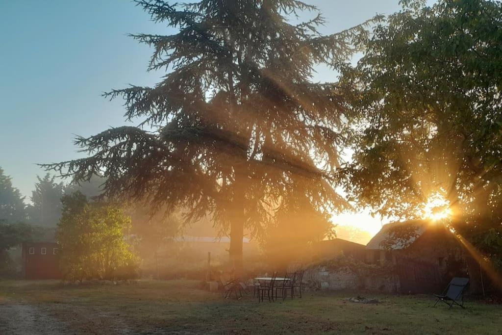 Gite En Bord De Loire Blaison-Saint-Sulpice Ngoại thất bức ảnh