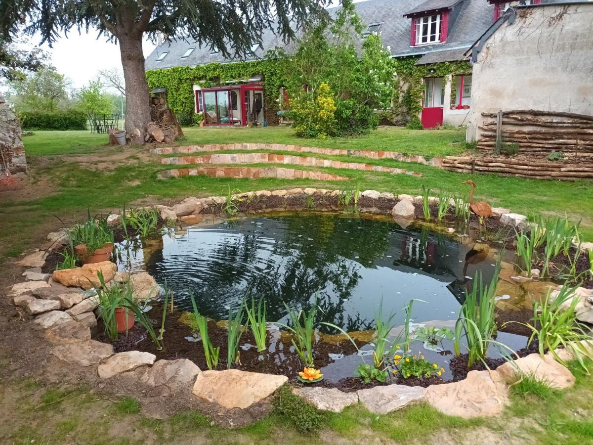 Gite En Bord De Loire Blaison-Saint-Sulpice Ngoại thất bức ảnh