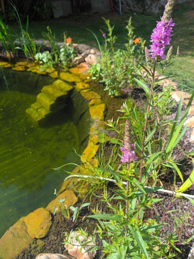 Gite En Bord De Loire Blaison-Saint-Sulpice Ngoại thất bức ảnh