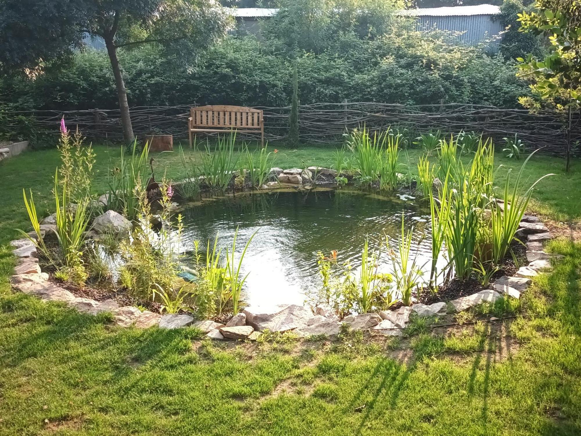 Gite En Bord De Loire Blaison-Saint-Sulpice Phòng bức ảnh
